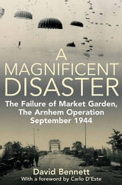 A Magnificent Disaster