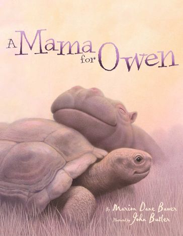 A Mama for Owen - Marion Dane Bauer