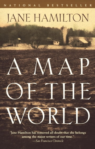 A Map of the World - Jane Hamilton