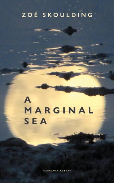 A Marginal Sea - Zoe Skoulding