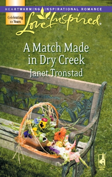 A Match Made in Dry Creek - Janet Tronstad