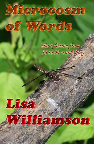 A Microcosm of Words - Lisa Williamson