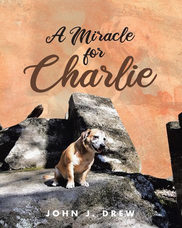 A Miracle for Charlie - John J. Drew