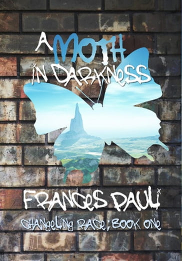 A Moth In Darkness - Frances Pauli