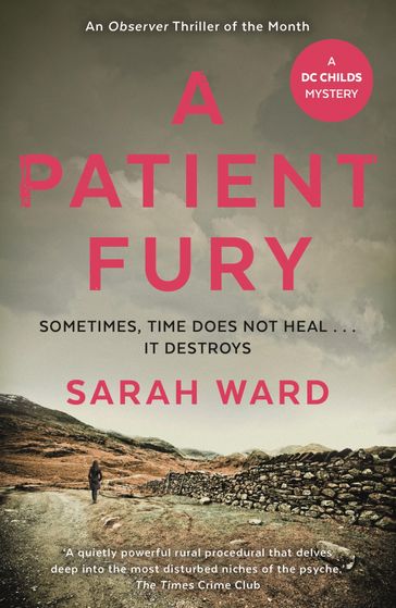 A Patient Fury - Sarah Ward