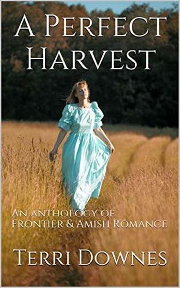 A Perfect Harvest - Terri Downes