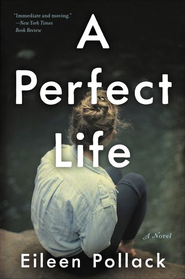 A Perfect Life - Eileen Pollack