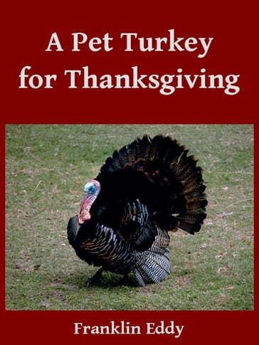 A Pet Turkey for Thanksgiving - Franklin Eddy