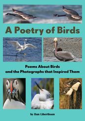 A Poetry of Birds