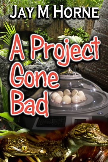 A Project Gone Bad - Jay M Horne