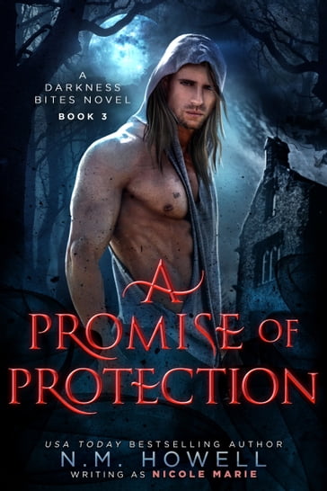 A Promise of Protection - Nicole Marie