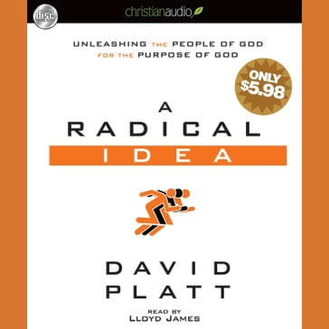 A Radical Idea - David Platt