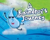 A Raindrop s Journey