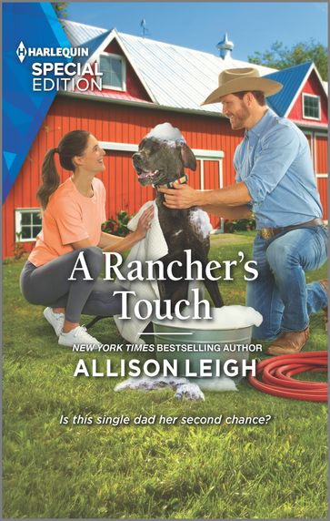 A Rancher's Touch - Allison Leigh