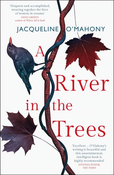 A River in the Trees - Jacqueline O