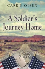 A SOLDIER S JOURNEY HOME