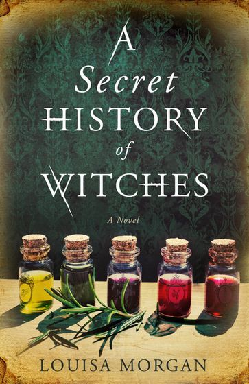 A Secret History of Witches - Louisa Morgan