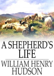 A Shepherd