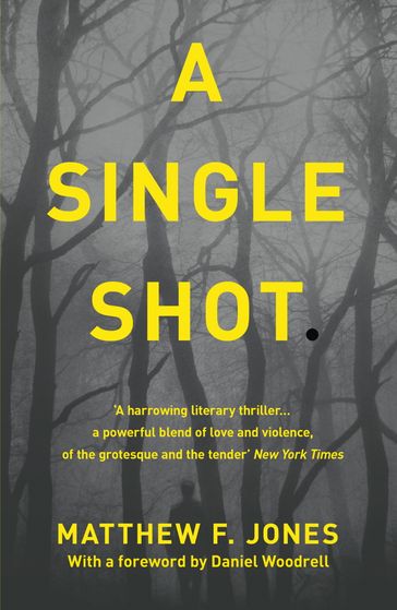 A Single Shot - Matthew F. Jones