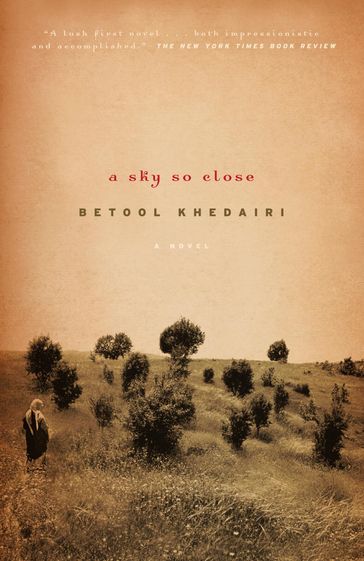 A Sky So Close - Betool Khedairi