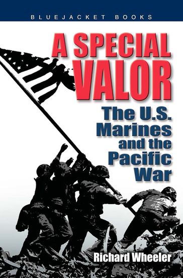 A Special Valor - Richard Wheeler