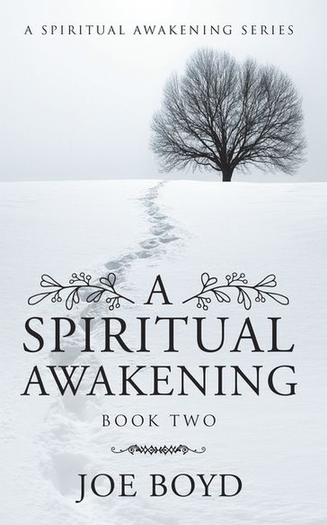 A Spiritual Awakening - Joe Boyd