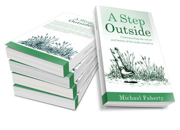 A Step Outside - Michael Faherty