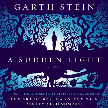 A Sudden Light - Garth Stein