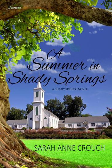 A Summer in Shady Springs - Sarah Anne Crouch