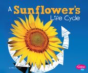 A Sunflower s Life Cycle