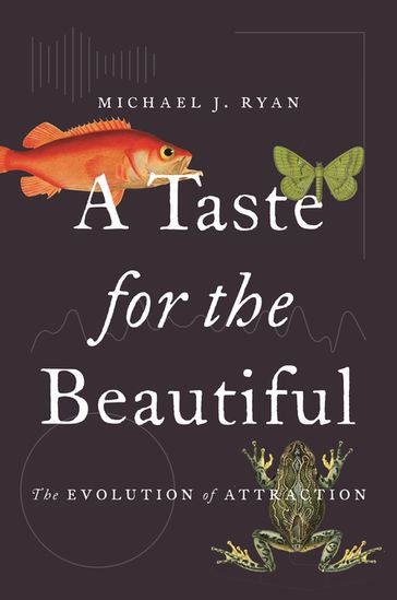 A Taste for the Beautiful - Michael J. Ryan