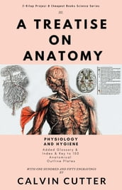 A Treatise on Anatomy