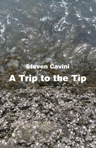 A Trip to the Tip - Steven Cavini