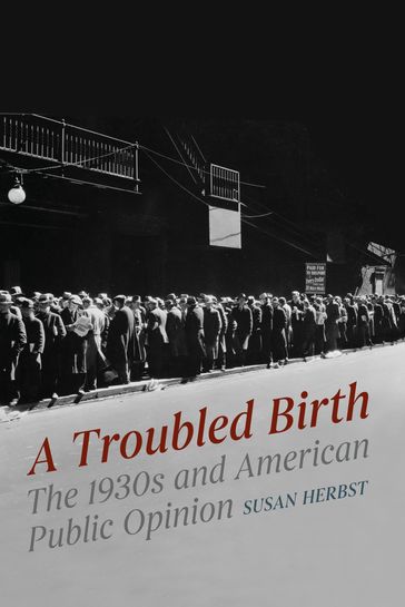 A Troubled Birth - Susan Herbst