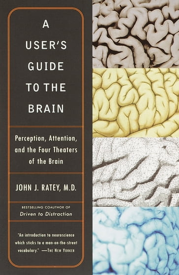 A User's Guide to the Brain - M.D. John J. Ratey