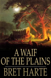 A Waif of the Plains