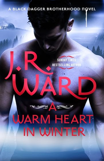 A Warm Heart in Winter - J. R. Ward
