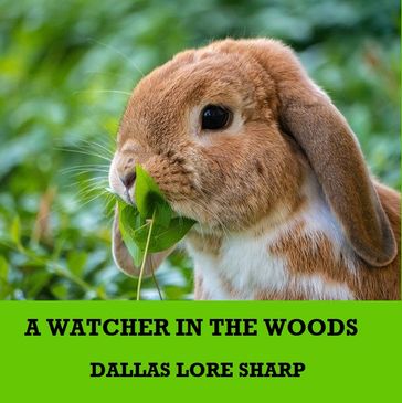 A Watcher in the Woods - Dallas Lore Sharp