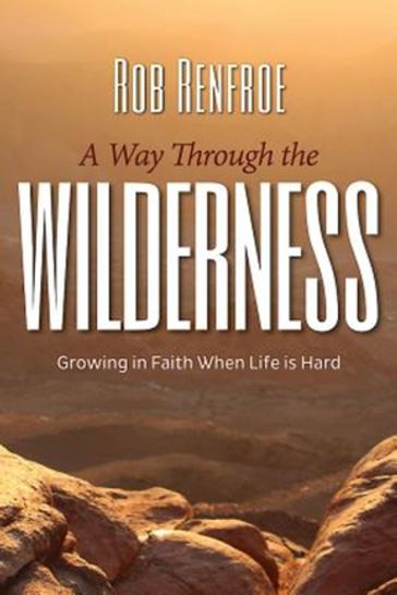 A Way Through the Wilderness - Rob Renfroe