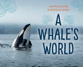 A Whale s World