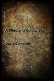 A Wide and Hollow Sky
