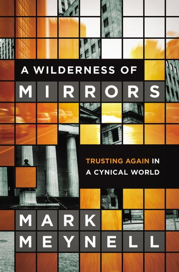 A Wilderness of Mirrors - Mark Meynell