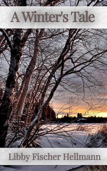 A Winter's Tale - Libby Fischer Hellmann