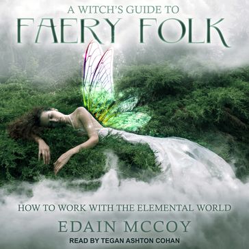 A Witch's Guide to Faery Folk - Edain McCoy