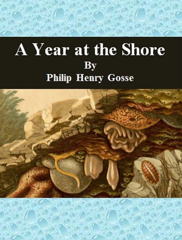 A Year at the Shore - Philip Henry Gosse