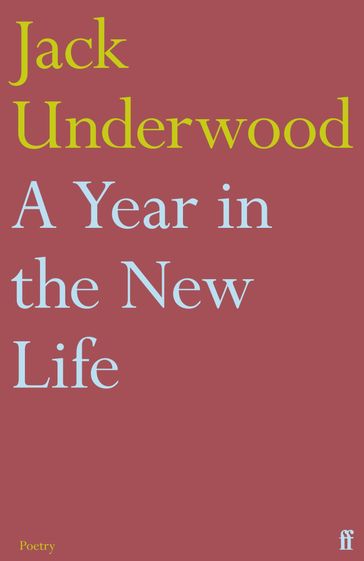 A Year in the New Life - Jack Underwood