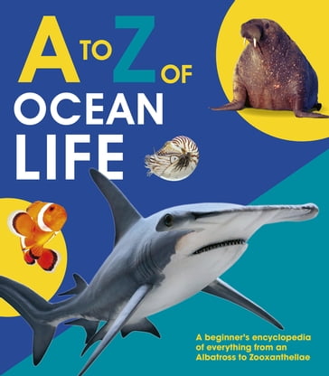 A to Z of Ocean Life - Words & Pictures