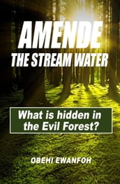 AMENDE: The Stream Water