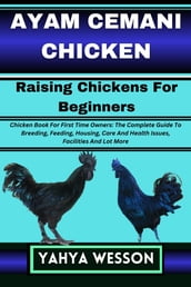 AYAM CEMANI CHICKEN Raising Chickens For Beginners