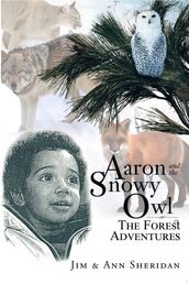 Aaron and the Snowy Owl